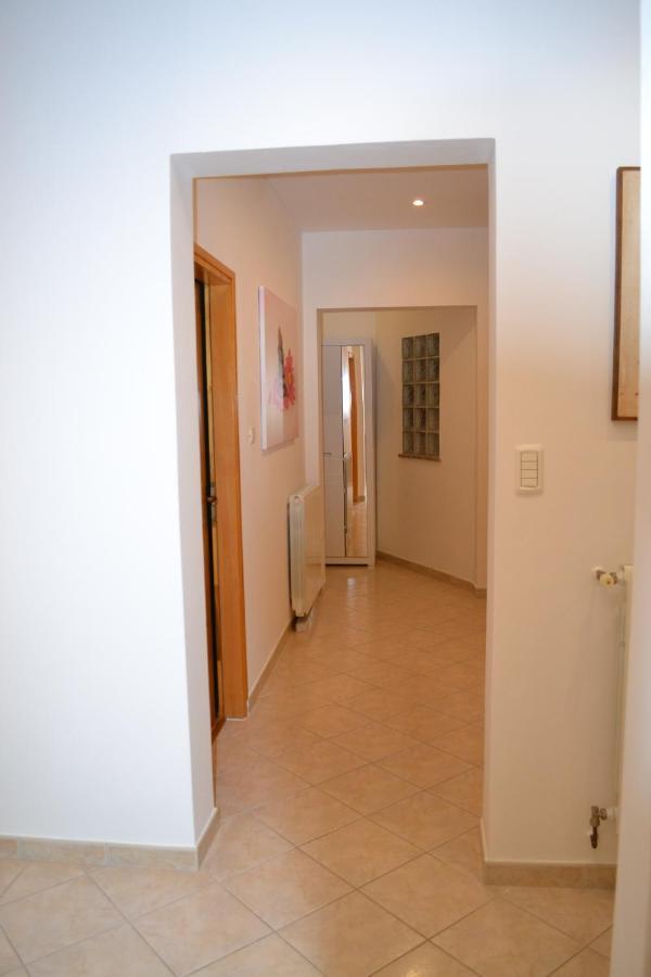 Apartman Doli Nedescina Экстерьер фото