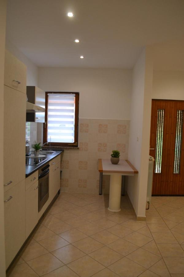 Apartman Doli Nedescina Экстерьер фото