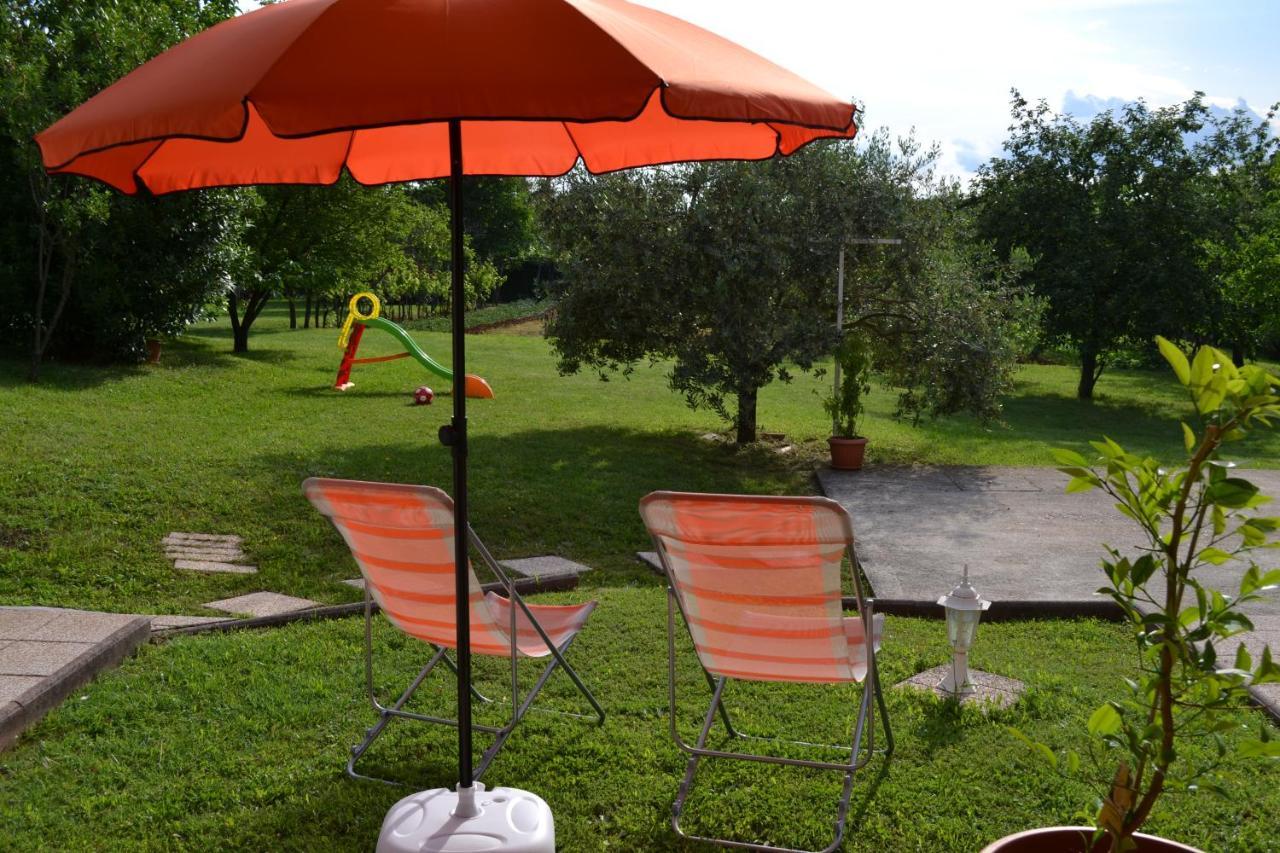 Apartman Doli Nedescina Экстерьер фото